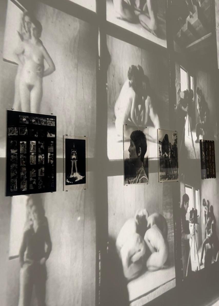 Country Lesbians: the Story of the WomanShare Collective - Brussels Ass Book Fair
